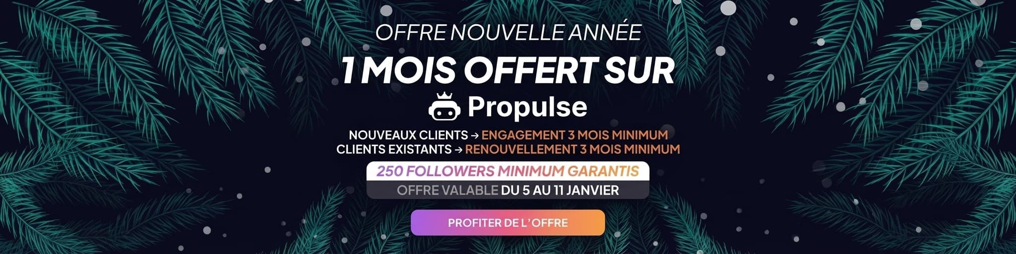 Offre Propulse pour nouvelle année 2026 !