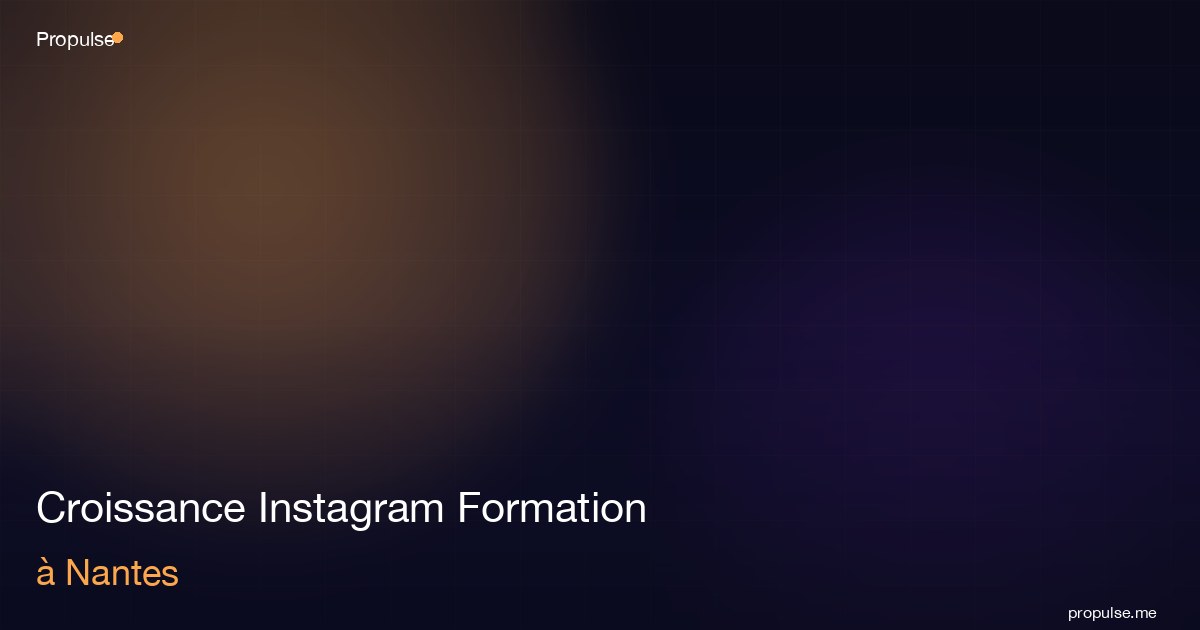 Croissance Instagram Formation à Nantes