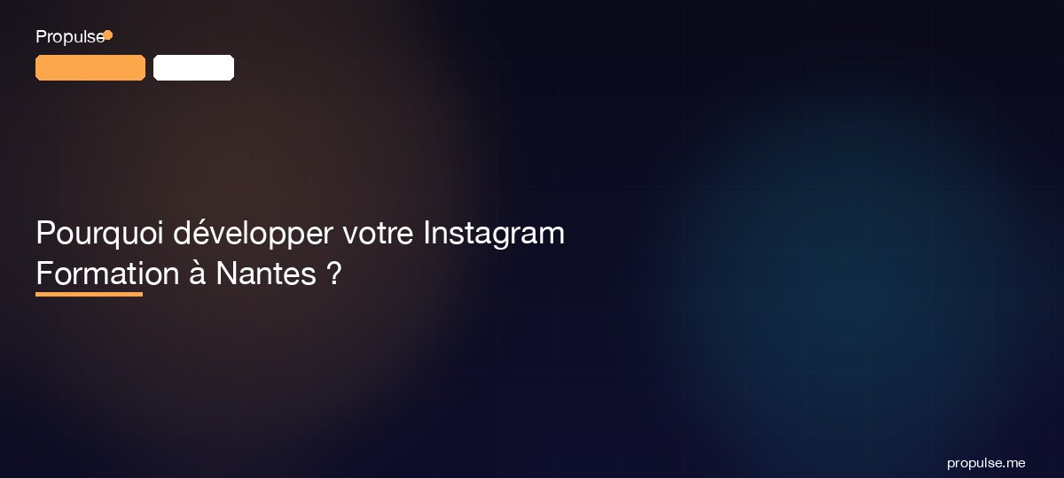 Pourquoi développer votre Instagram Formation à Nantes ?