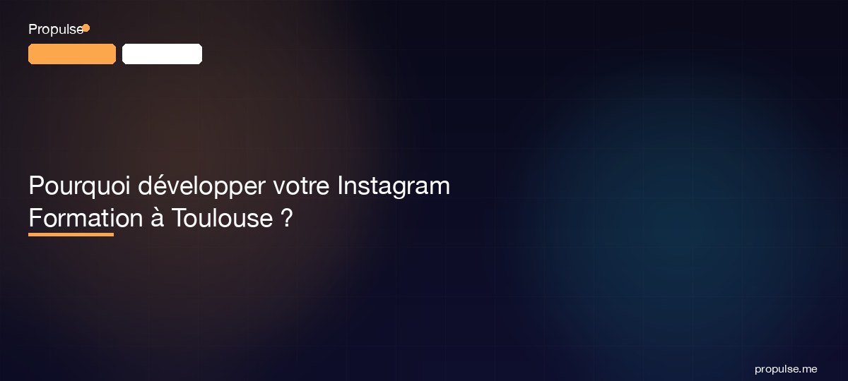 Pourquoi développer votre Instagram Formation à Toulouse ?