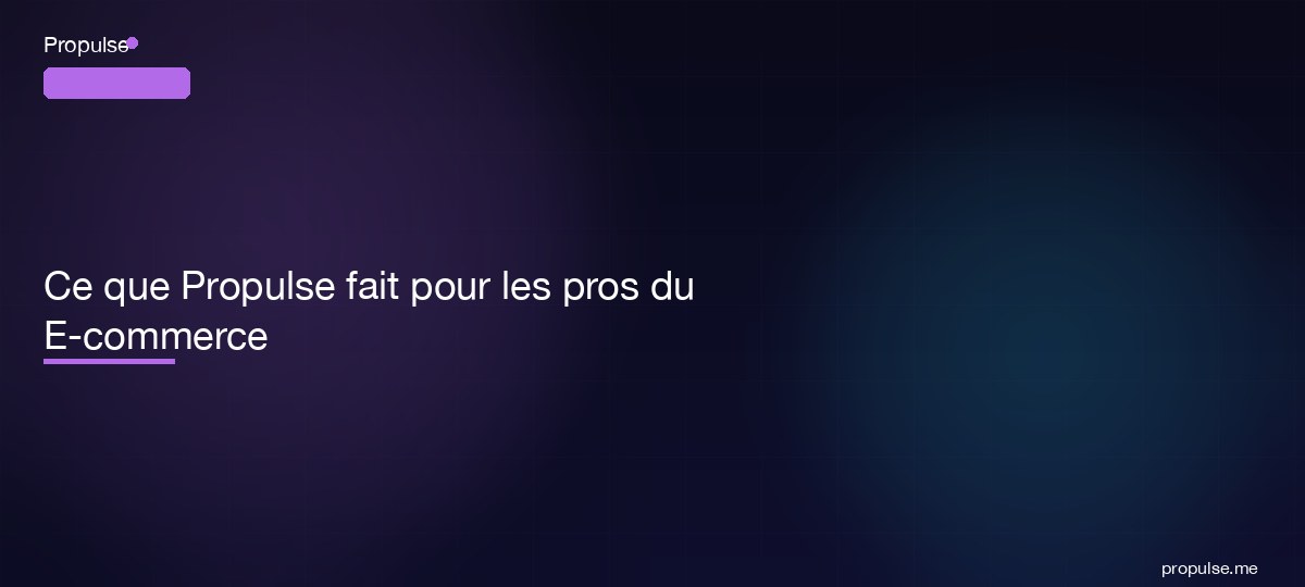 Ce que Propulse fait pour les pros du E-commerce